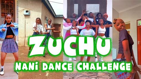 Nani Dance Challenge By Zuchu Join The Trend Kanaple Notify Youtube