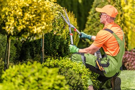 Check spelling or type a new query. How to Clear Your Overgrown Garden & Maintain Natural ...