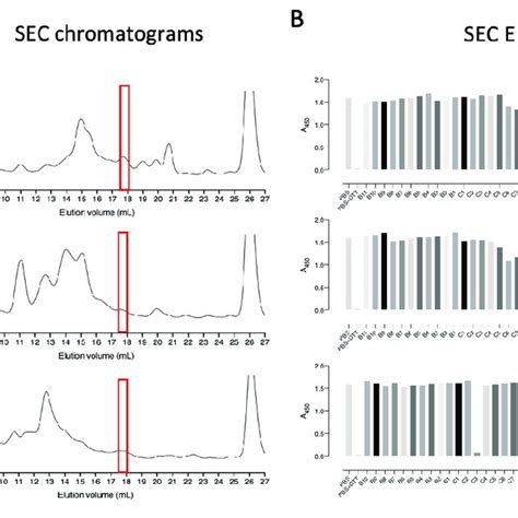 Size Exclusion Chromatography As A Second Step For The Purification Of