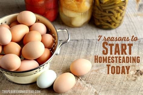 7 reasons to start homesteading today