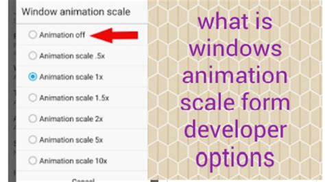 What Is Windows Animation Scale Form Developer Option Increase Your