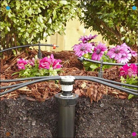 A Drip Irrigation System Lets You Make The Most Of Your Water To