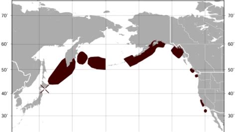 Where Do Sea Otters Live Map