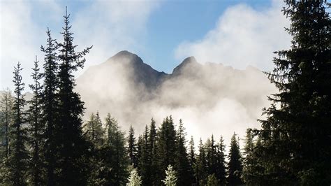 Fog Covered Mountains Forest Trees Under Blue Sky Hd Nature Wallpapers