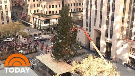 Rockefeller Christmas Tree 2020 Watch A Time Lapse Video Today Youtube