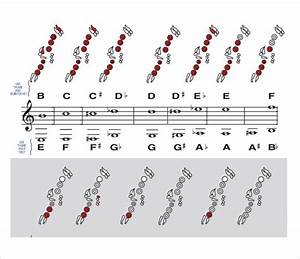 Clarinet Chart Download Free Documents In Pdf Sample