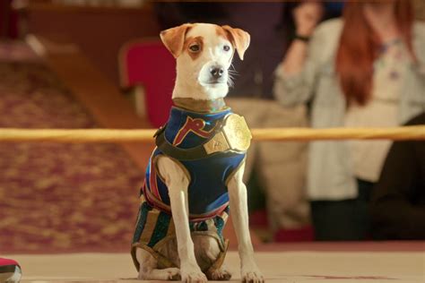 Puppies chew on our fingers and toes, and they investigate people's bodies with their mouths and teeth. 'Russell Madness' is the greatest movie featuring a ...