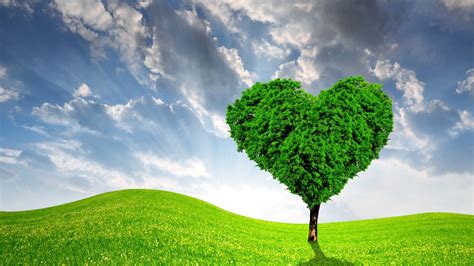 Green Heart Wallpaper 82 Background Green Heart Images Romeo Wallpapers