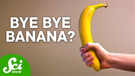 Bananas Are Not What You Think The Shocking Truth Youtube