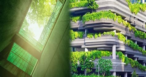 The Basic Principles Of Green Building Design Wr Home Resort