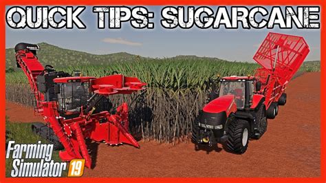 Quick Tips Sugarcane Farming Simulator 19 Youtube