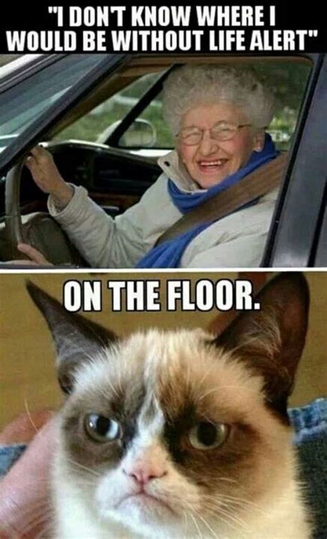 The Grumpiest Grumpy Cat Memes To Sadden Your Day Snappy Pixels
