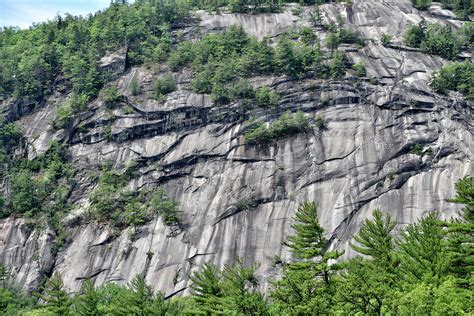 Detail Of Cathedral Ledge New Hampshire Photograph By Brendan Reals