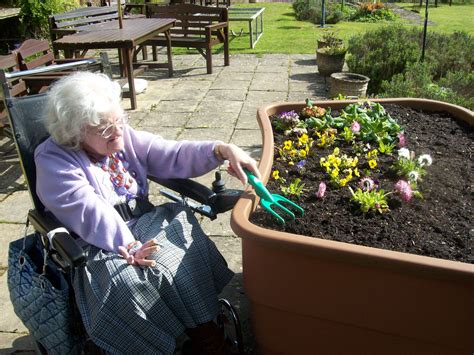 Gardening For Disabled And Elderly Horticulture Therapy Sensory