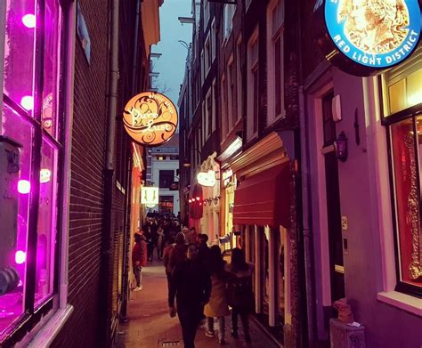 get the story behind the windows of amsterdam s red light district red light district