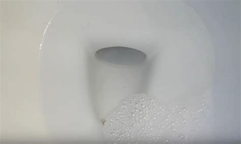 Why Is My Toilet Bubblinggurgling Causes And Fix Methods