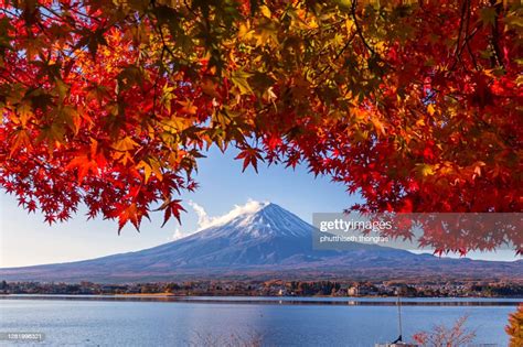 Mount Fuji With Red Maple At Lake Kawaguchi At Sunrise In Autumn