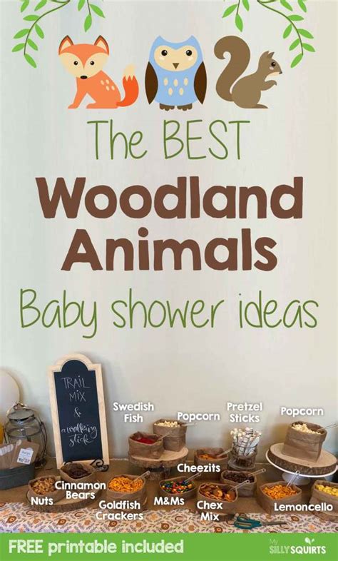 The Best Woodland Animals Baby Shower Ideas My Silly Squirts
