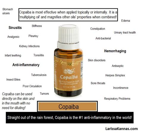 Copaiba essential oil is a popular oil that has many uses and health benefits. Young Living Essential Oils: Copaiba | Essential Oils ...