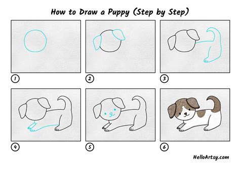 How To Draw A Puppy Step By Step Helloartsy
