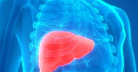 Early Symptoms Of Liver Cancer Canceroz