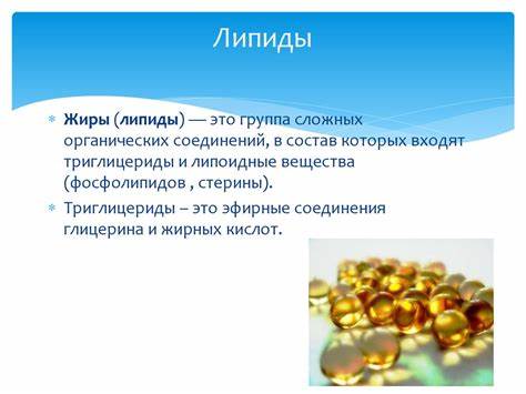 Диета понижающая липиды