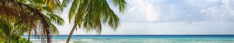 Vakantie Trelawny Luxe Zonvakantie Op Jamaica Tui