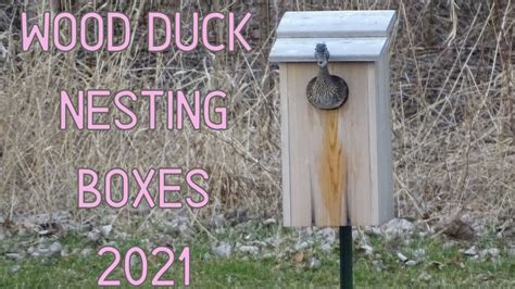 Wood Duck Nesting Box Part 1 Youtube