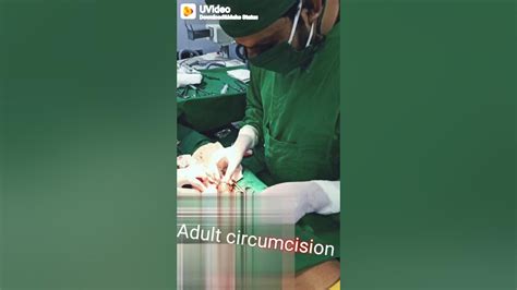 Adult Circumcision Youtube