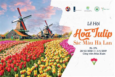 Hn Lễ Hội Hoa Tulip Sắc Màu Hà Lan 2019 Ybox