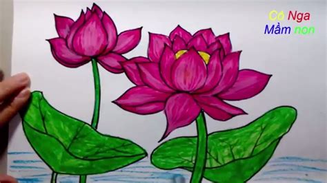 Vẽ Hoa Sen đơn Giản How To Draw Lotus Step By Step Easy Drawing