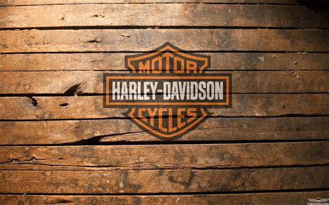 Harley Davidson Logo Images Google Search Harley Davi Vrogue Co