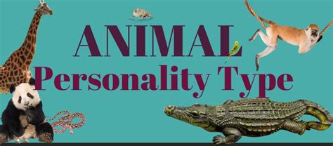 Your Animal Myers Briggs Personality Type Infographic