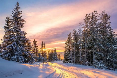 Hd Wallpaper Earth Winter Forest Road Snow Sunset Cold