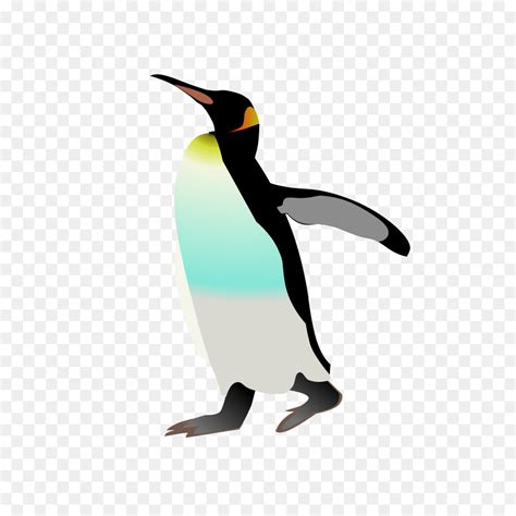 Club Penguin Bird Clip Art Penguins Clipart Png Download 428638