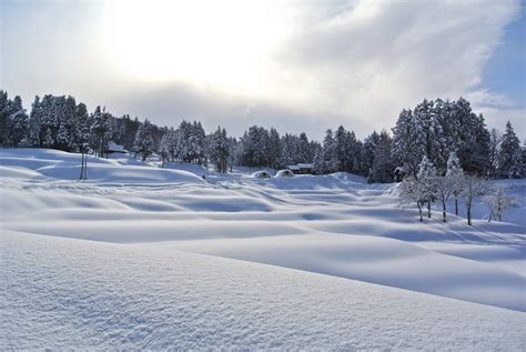 Fresh Snow Mountain Winter Landscape Free Image Download
