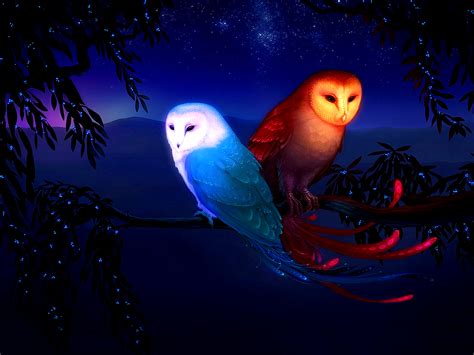 34 Wallpaper Animasi Owl