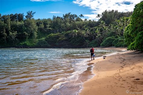 The Hidden And Wild Beaches Of The Northeast Coast Of Kauai Smartrippers