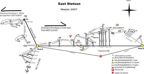 Stetson Bank Texas Flower Gardens Stetson Flower Garden Map