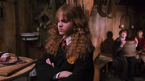 Harry Potter Chamber Of Secrets Hermione
