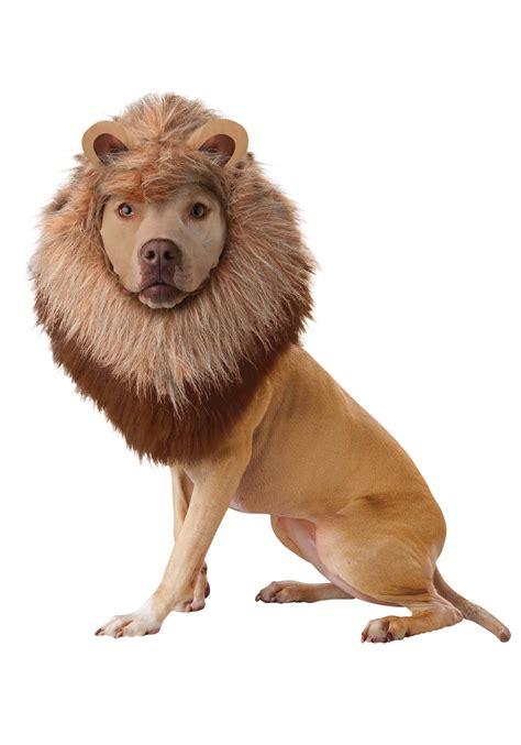 Dog The Lion King Simba Costume Ph