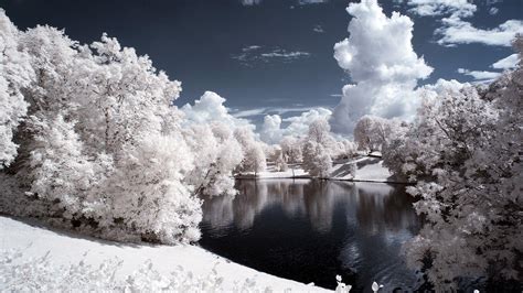 Infrared Winter Wallpapers Wallpaper Cave