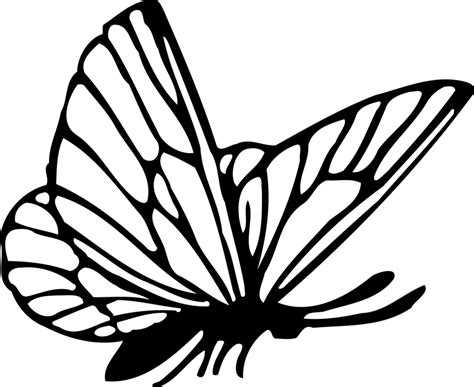 Butterfly Graphic - Black And White Butterfly Png , Transparent Cartoon