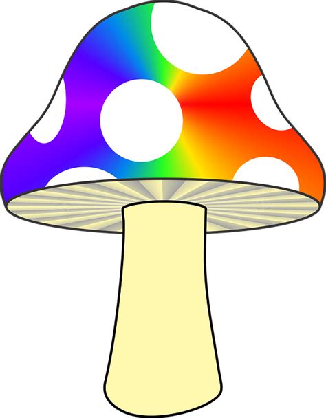 Download Mushroom Nature Colorful Mushroom Royalty Free Vector Graphic Pixabay