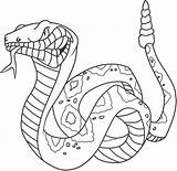 Snake Coloring sketch template