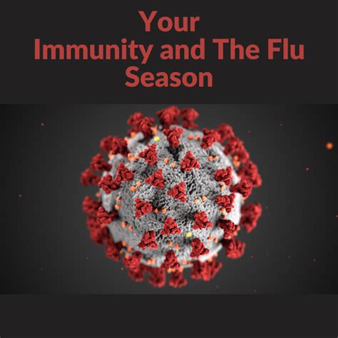 Your Immunity And The Flu Season Coldwater Chiropractic And Wellness Center