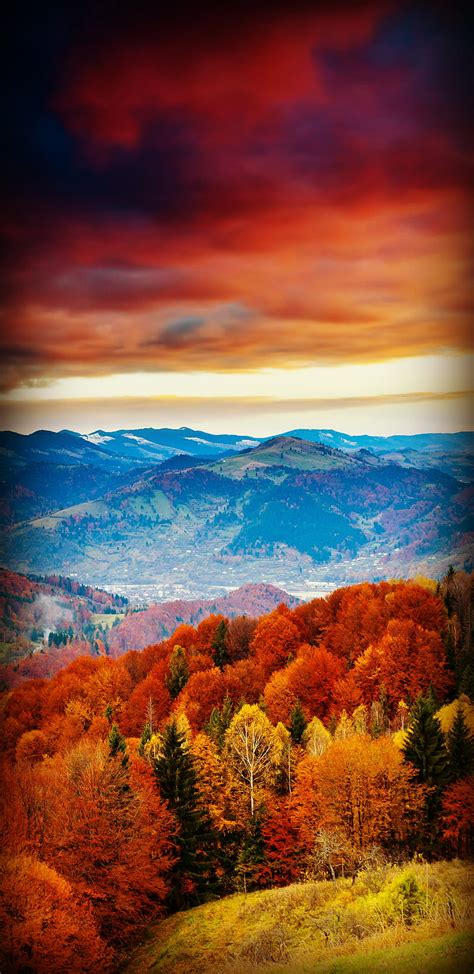 Fall Mountains Forest Autumn Landscapes Leaves Landscape Season