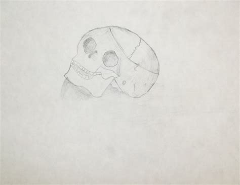 Highschoolart Human Skull Contour Drawing High School Art