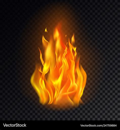 Isolated Fire Emoji On Transparent Background Vector Image