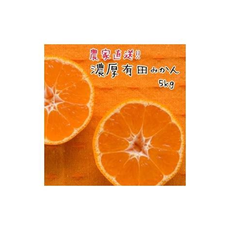 ふるさと納税 和歌山県 有田川町 農家直送！濃厚有田みかん5kgサイズ混合 4660928ふるさとチョイス 通販 Yahoo